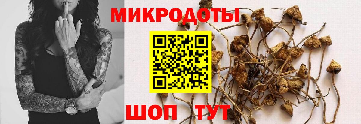 Псилоцибиновые грибы MAGIC MUSHROOMS Уварово