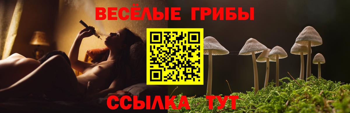 Галлюциногенные грибы мицелий  Вход с VPN  Уварово 